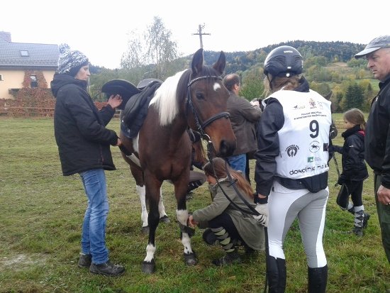 Kamionka 2015